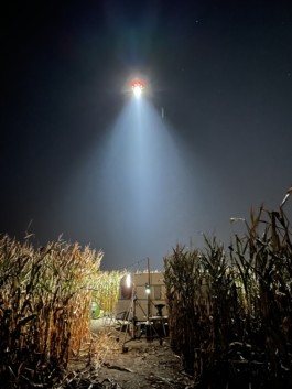 Drone illuminating a corn field 